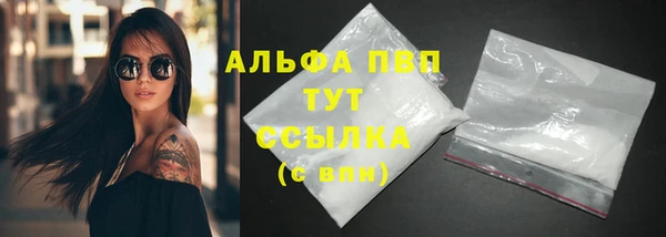 spice Аркадак
