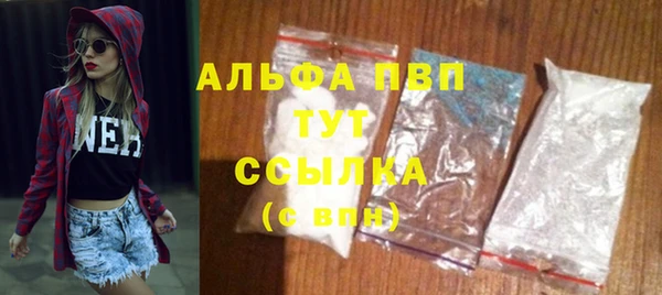 spice Аркадак