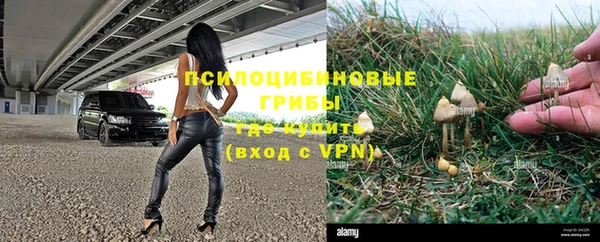 стаф Россошь