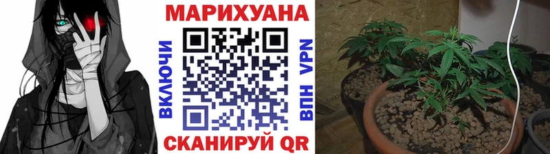 Канабис гибрид omg как войти дарк нет формула Малоархангельск